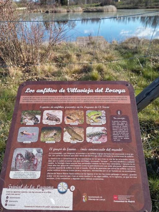 Casita Con Encanto Tranquilidad Villavieja Del Lozoya Wi-Fi En Sierra De Madrid Y A 50 Minutos De Capital Kültér fotó